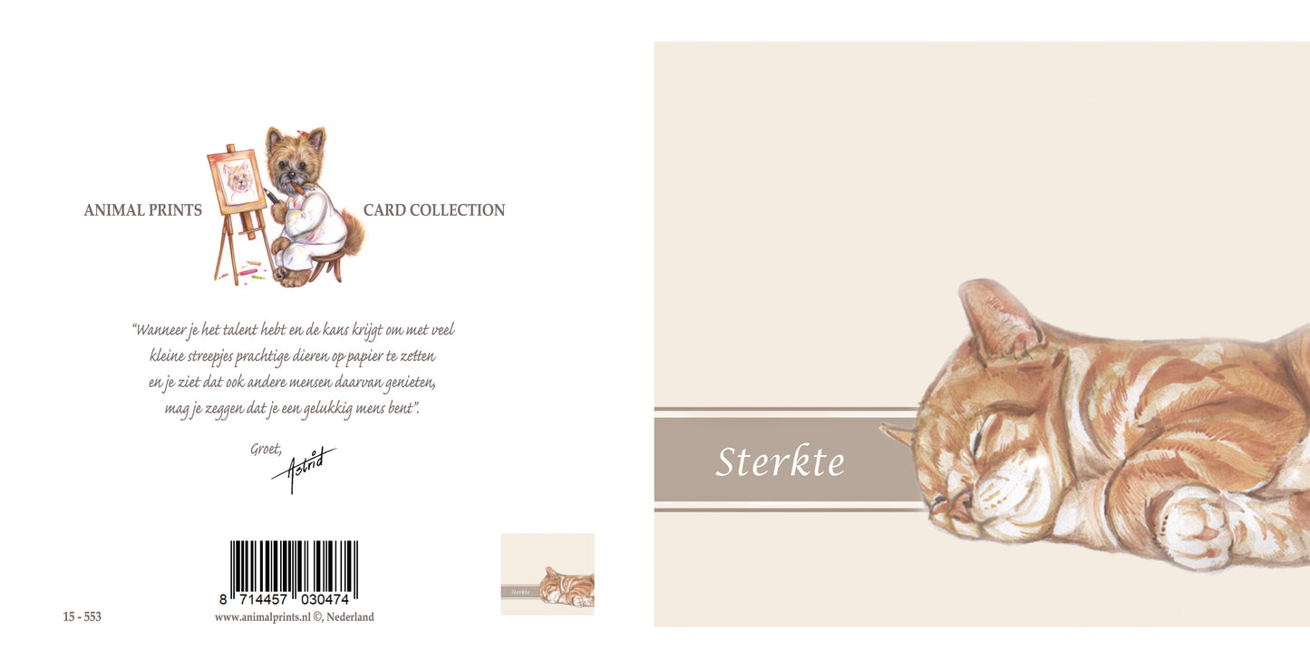Quadratische Karte - Beileidskarte Katze