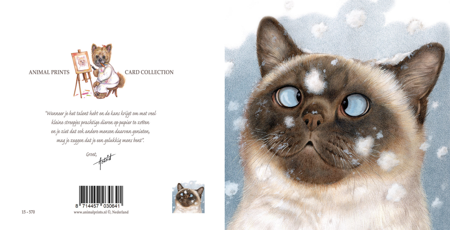Vierkante kaart - Van sneeuwvlokjes ga ik altijd een beetje scheel kijken.... (katten print)