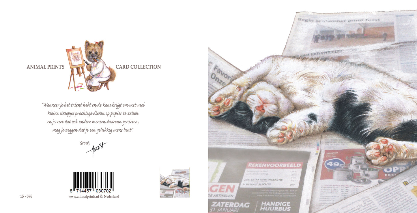 Vierkante kaart - Val een beetje in slaap van al die saaie nieuwsberichten. (katten print)