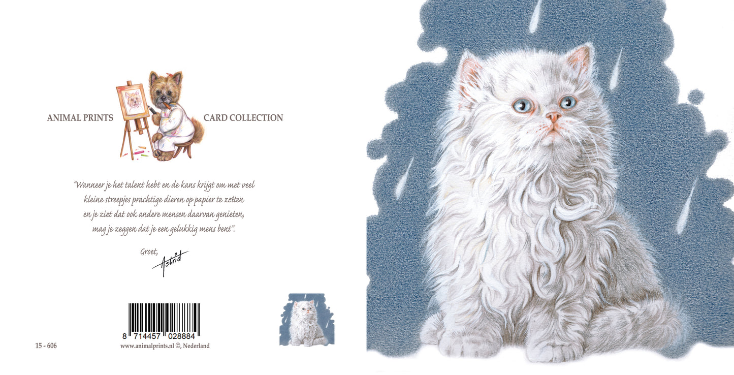 Quadratische Karte - It's Raining Cat's - Perserkatze