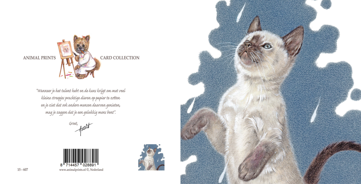Quadratische Karte - It's Raining Cat's - Ragdoll