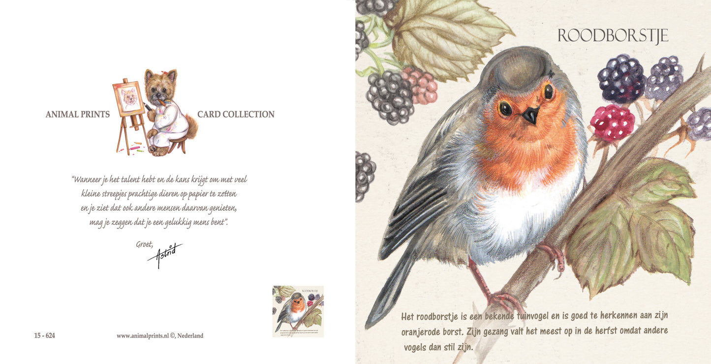 Vierkante kaart - Roodborst (vogel print)