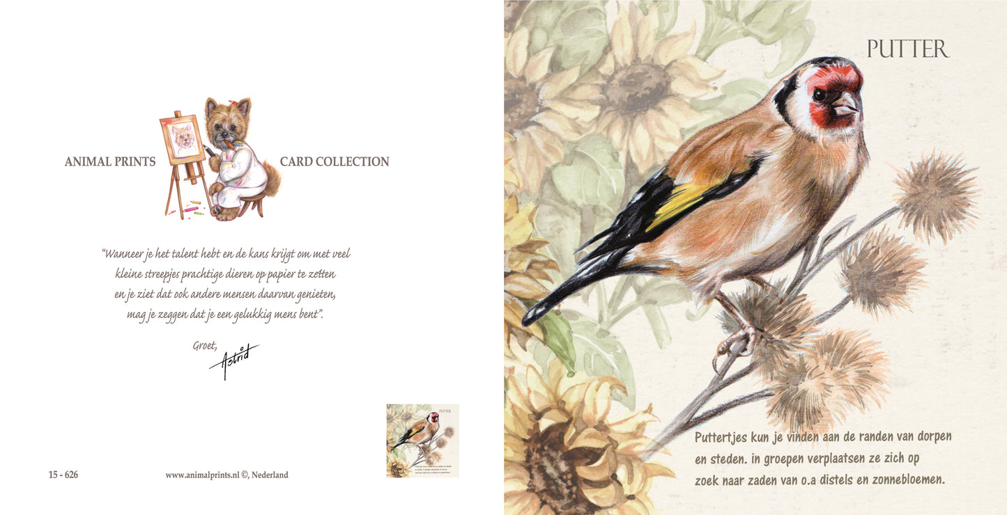 Vierkante kaart - Putter (vogel print)