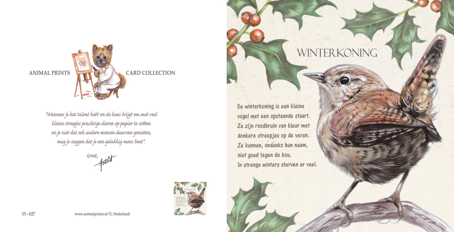 Vierkante kaart - Winterkoning (Vogel print)