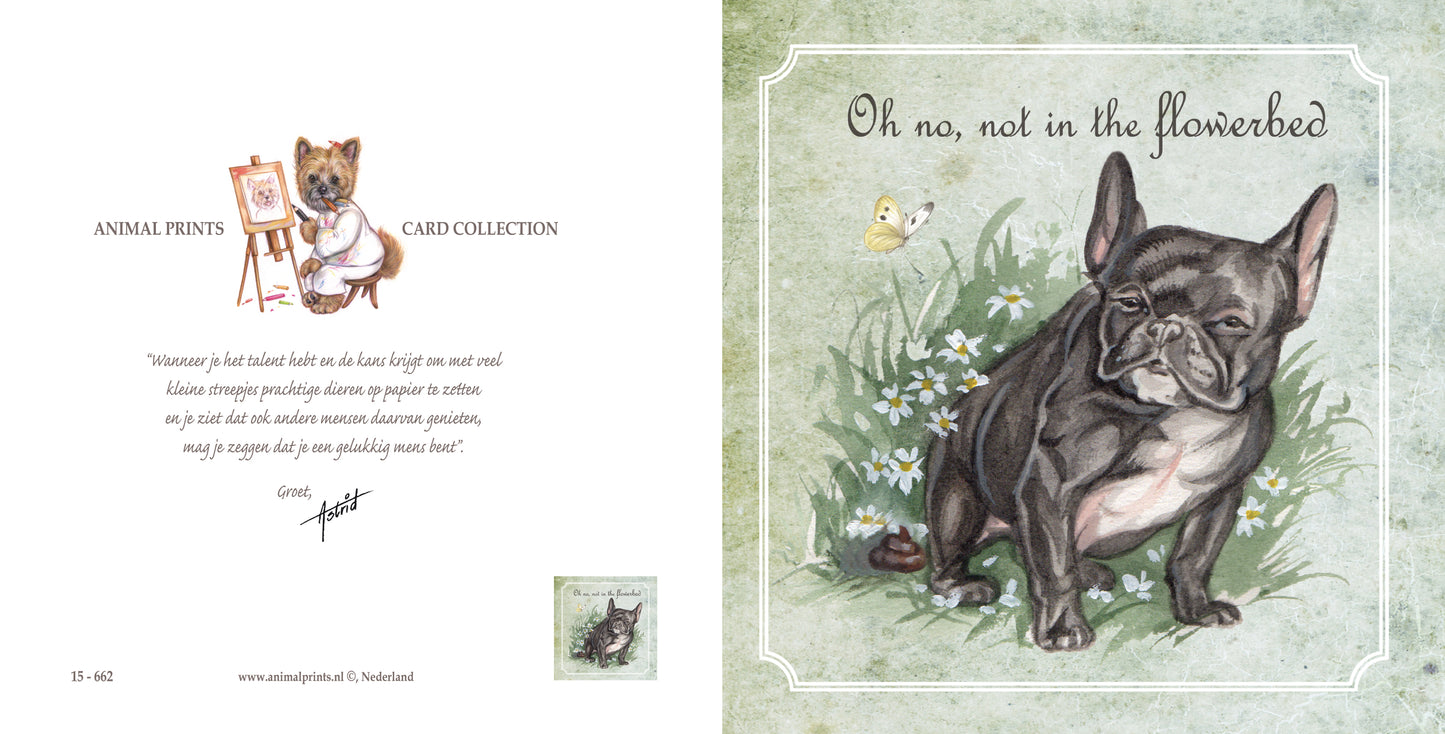 Vierkante kaart - Oh no, not in the flowerbed (Hond, Franse Bulldog)