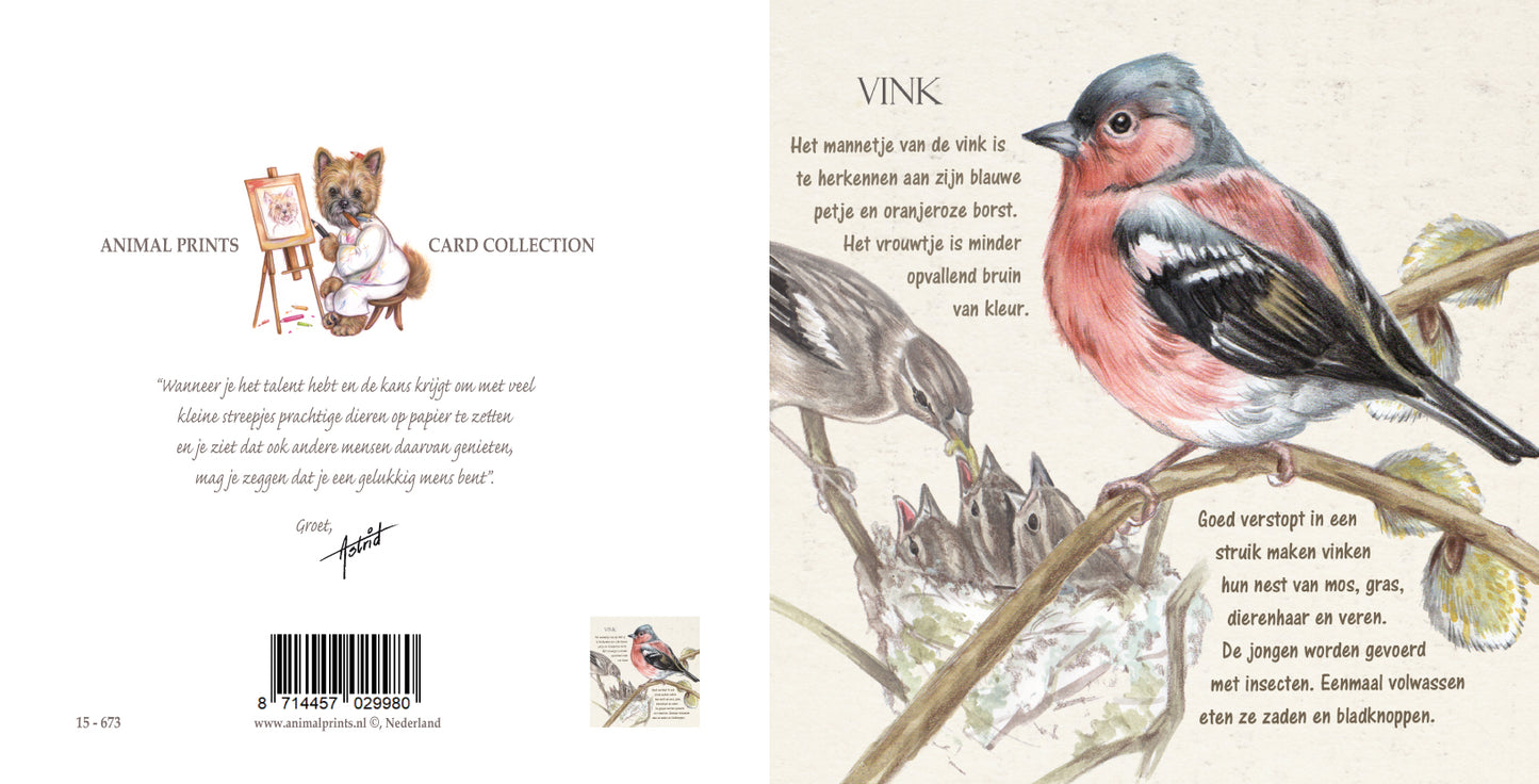 Vierkante kaart - Vink (Vogels)