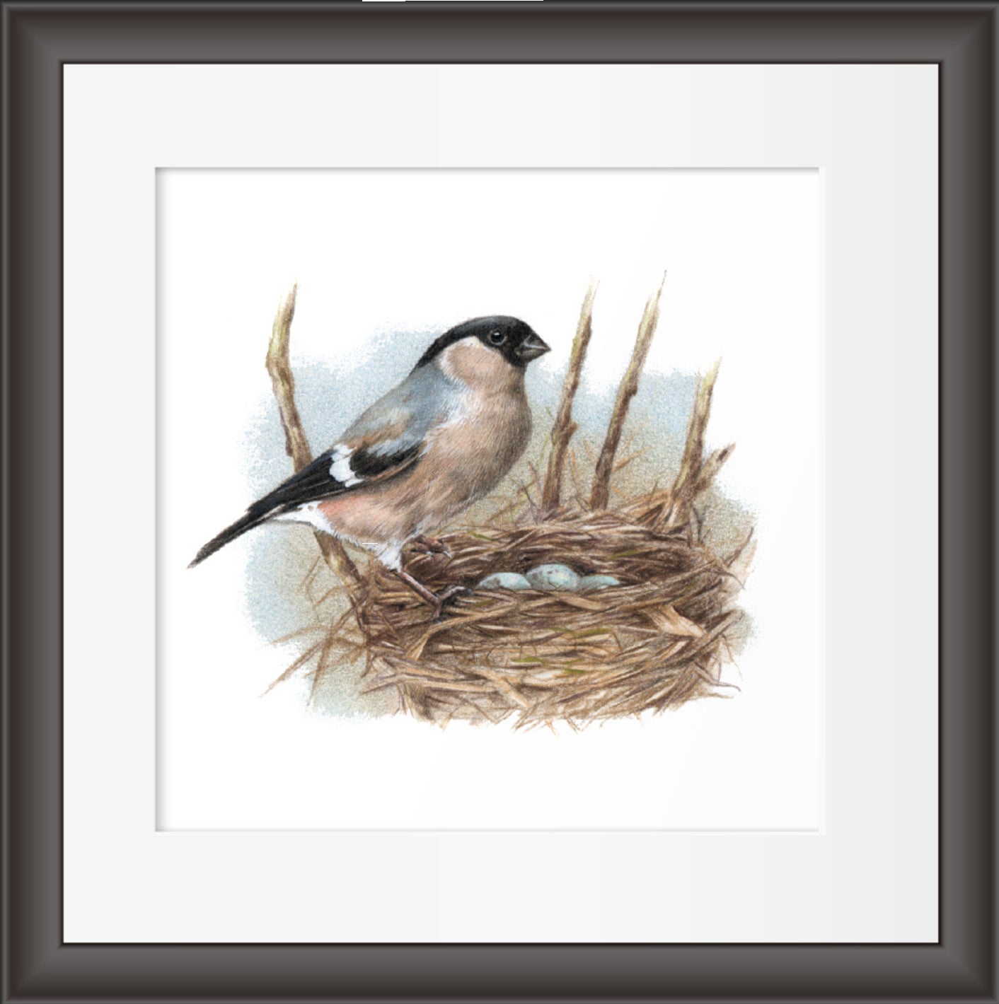 Reproduktion "Vogelnest".