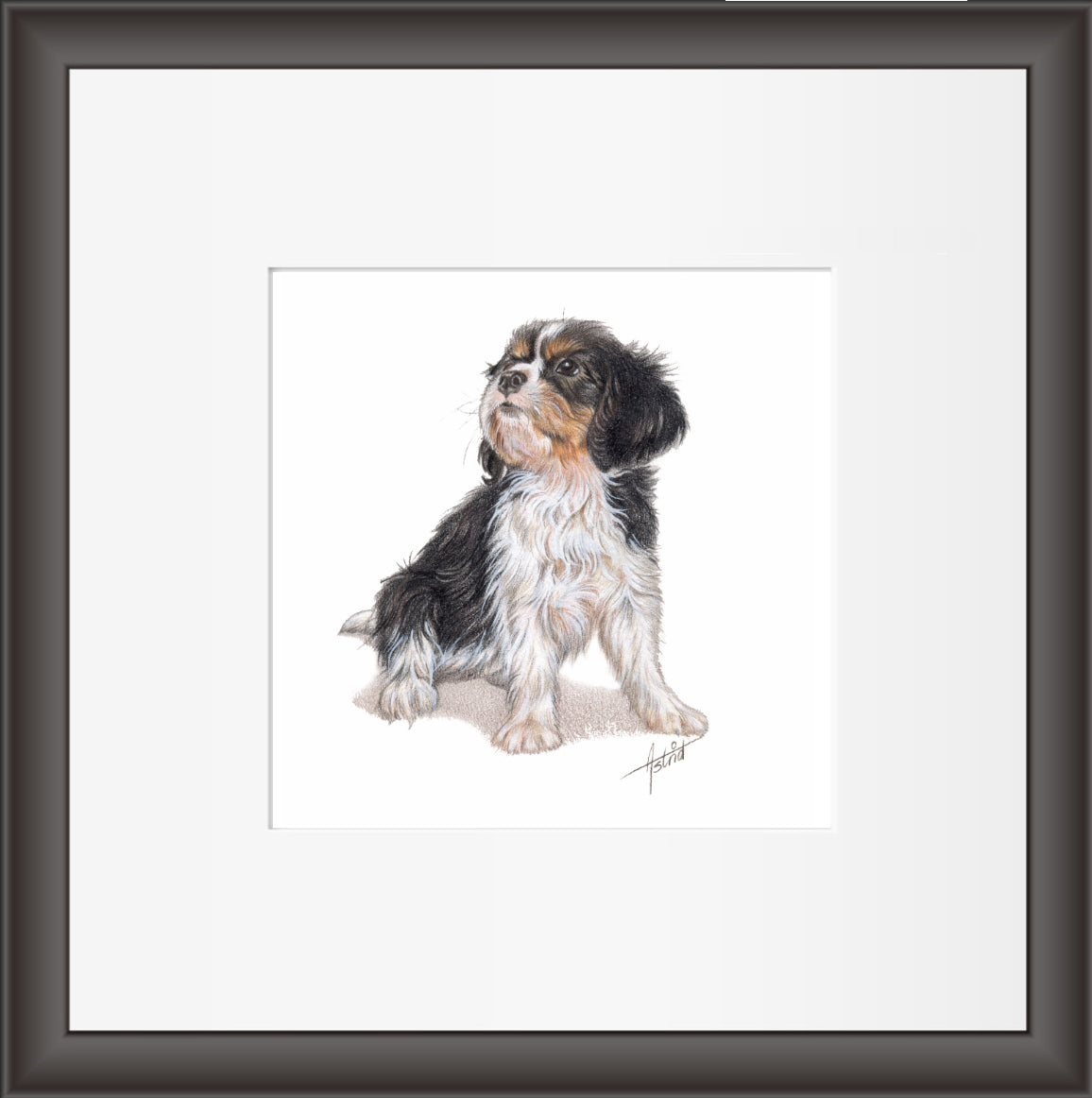 Reproduktion „Cavalier King Charles Spaniels“.