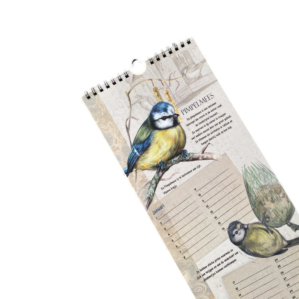 Birthday Calendar Birds