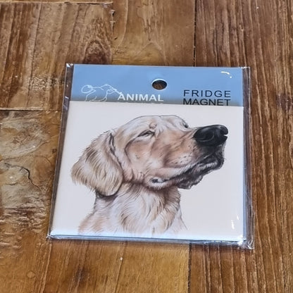 Koelkastmagneet - Labrador Retriever