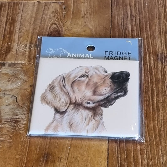 Koelkastmagneet - Labrador Retriever