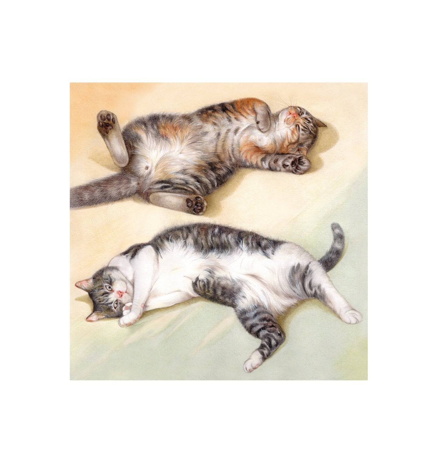 Katoenen winkelshopper met bedrukking - Liggende katten