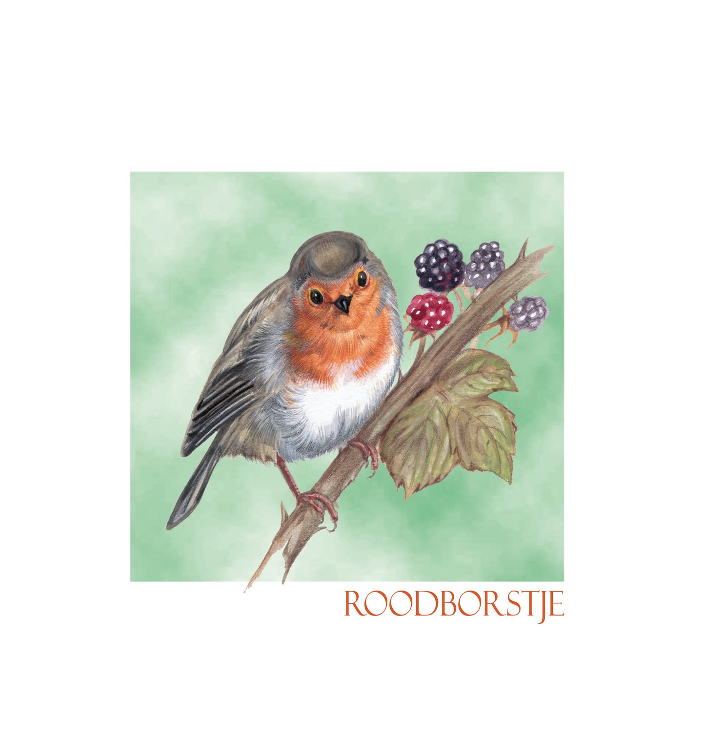 Katoenen winkelshopper met bedrukking - Roodborstje - Robin
