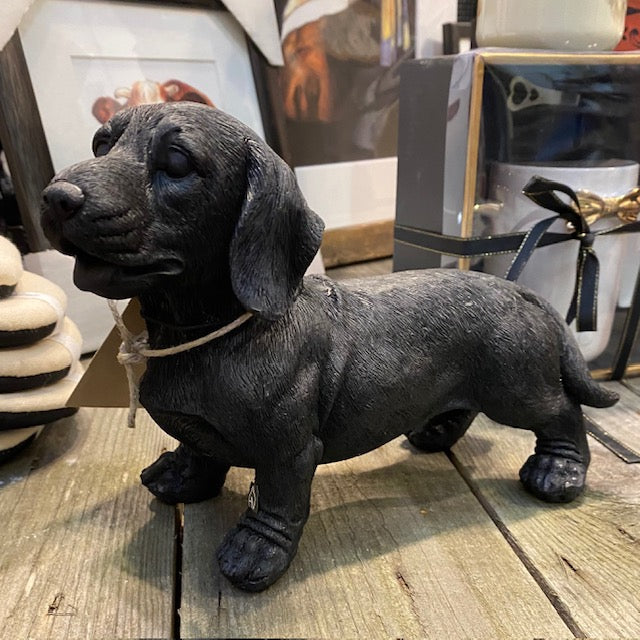 Teckel beeld in het zwart