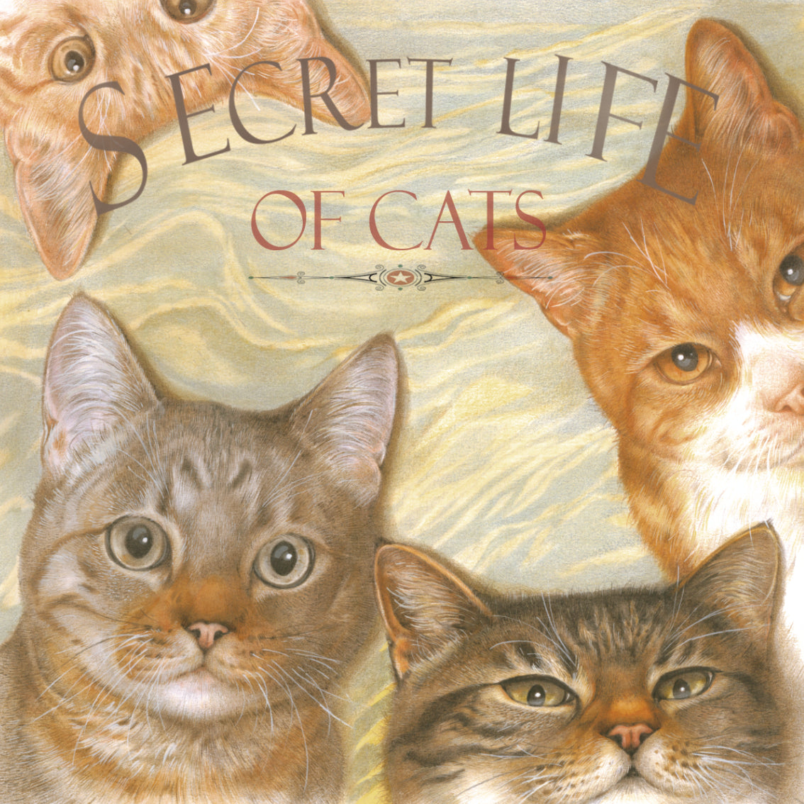 Set van 4 onderzetters - Kattenserie - Secret Life of Cats