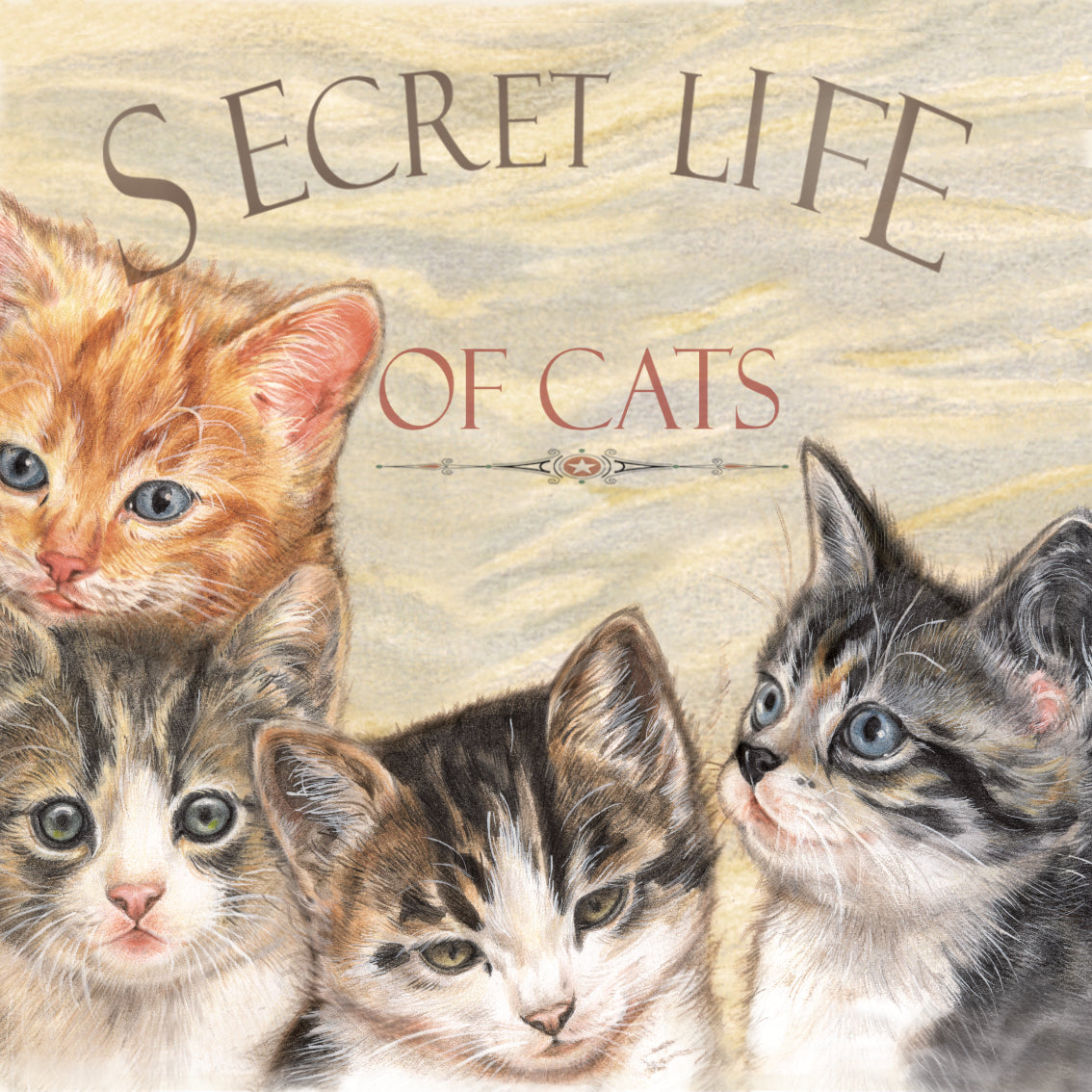 Set van 4 onderzetters - Kattenserie - Secret Life of Cats