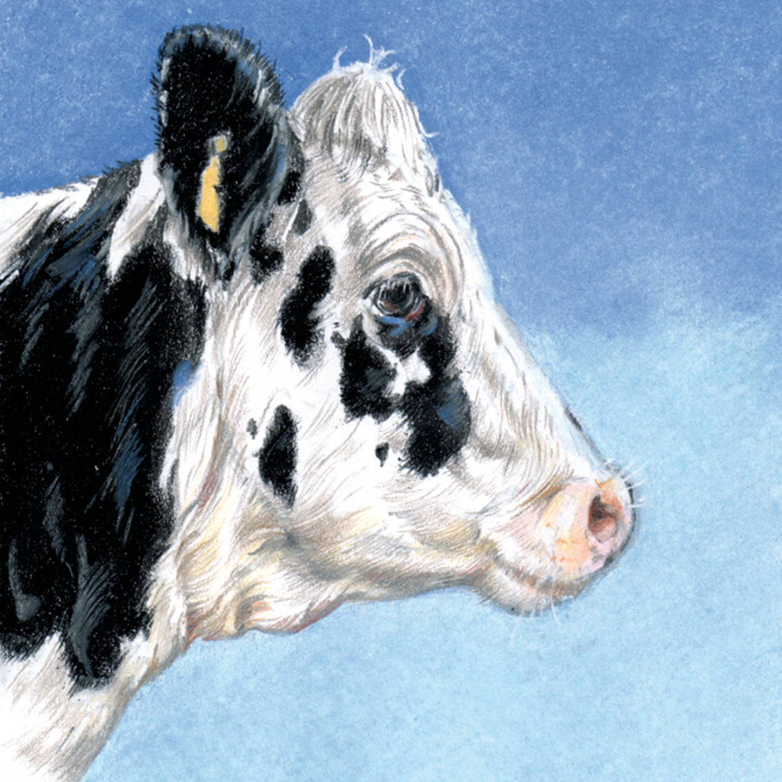 Set van 4 onderzetters - Koeienserie