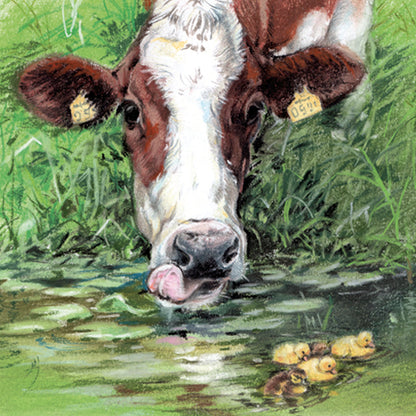 Set van 4 onderzetters - Koeienserie