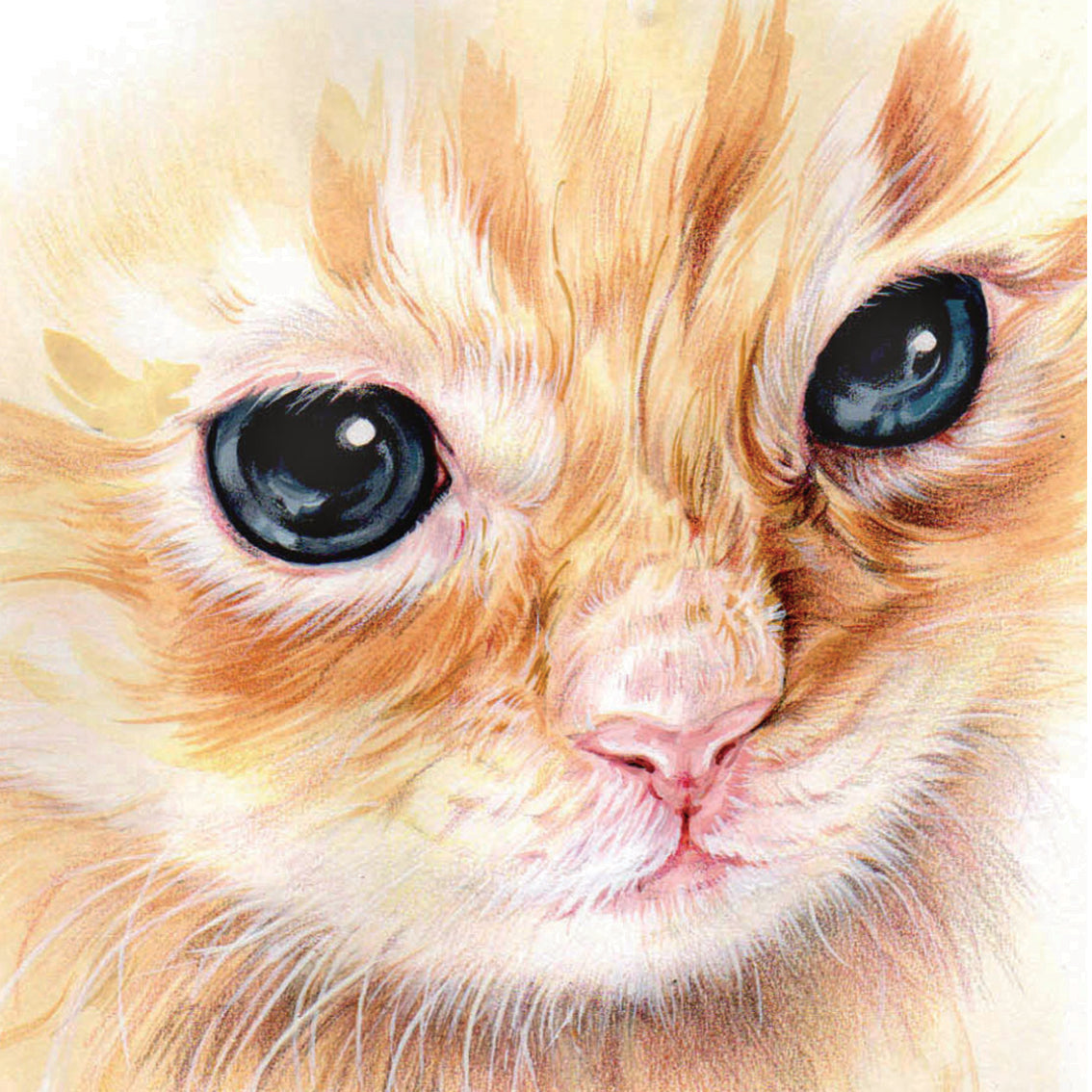 Set van 4 onderzetters - Kattenserie 2