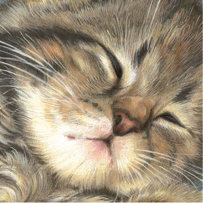 Set van 4 onderzetters - Kattenserie 2