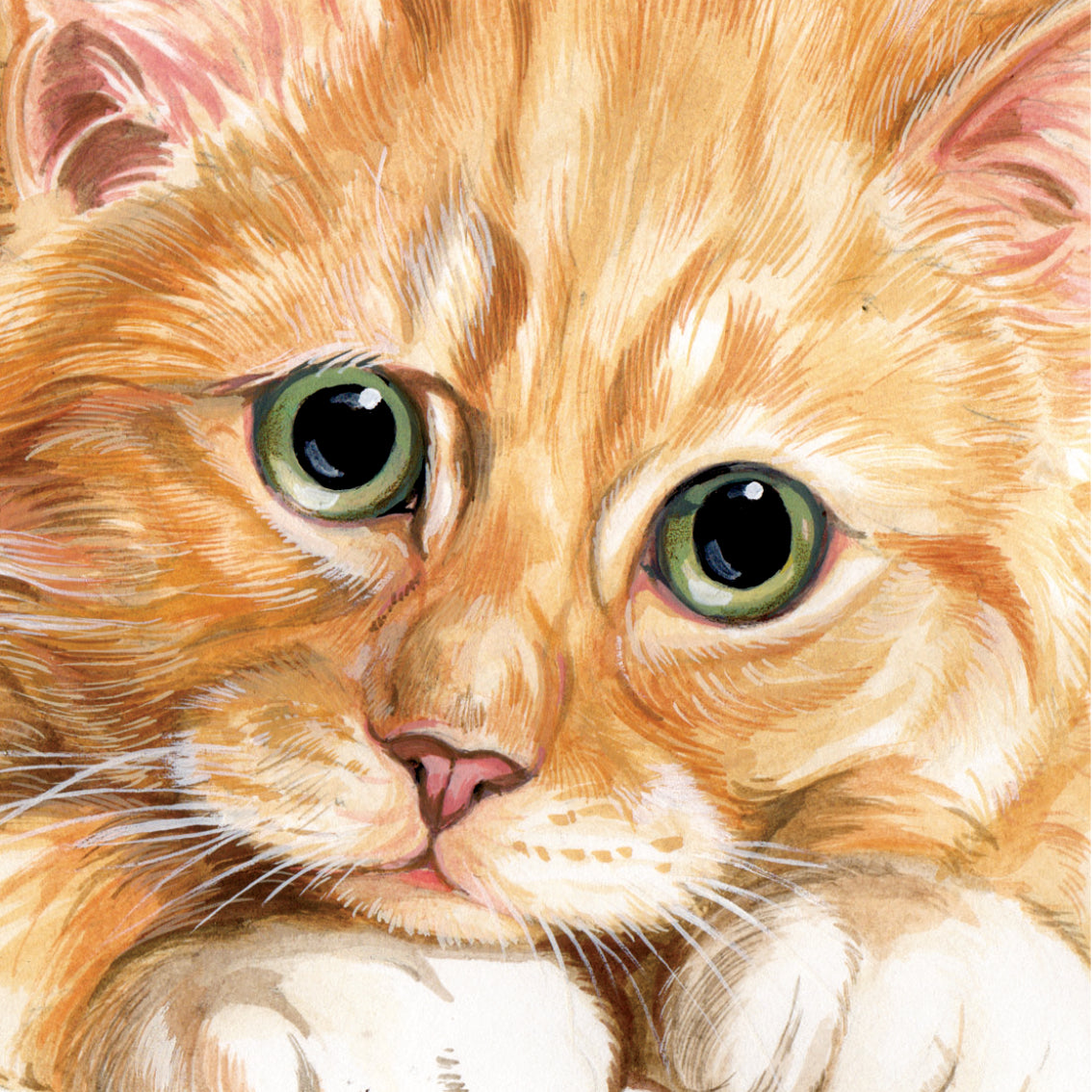 Set van 4 onderzetters - Kattenserie 2