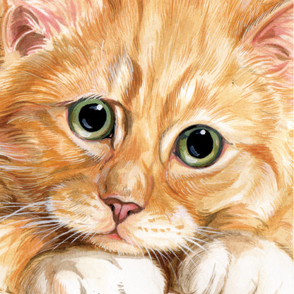 Set van 4 onderzetters - Kattenserie 2