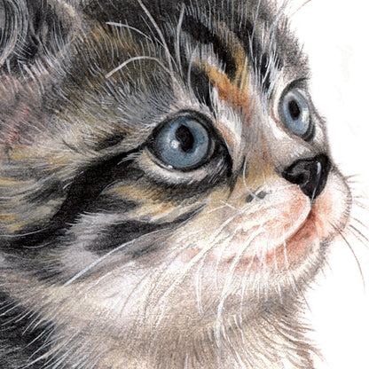 Set van 4 onderzetters - Kattenserie 2