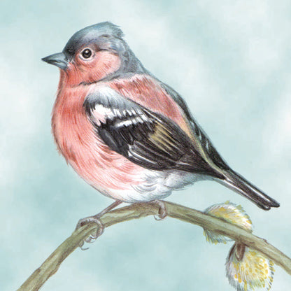 Set van 4 onderzetters - Vogelserie 2