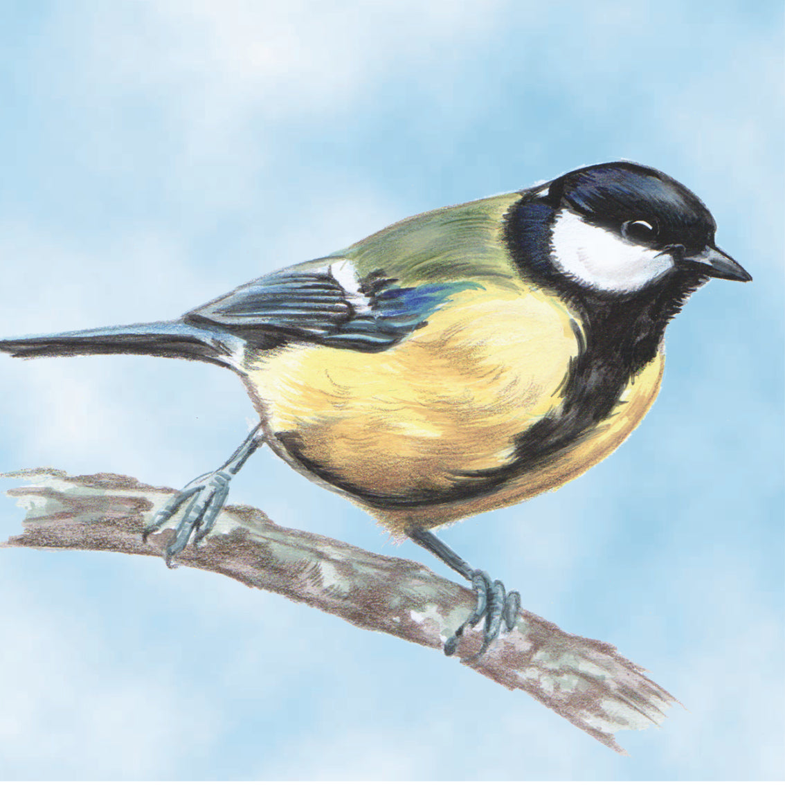 Set van 4 onderzetters - Vogelserie 2