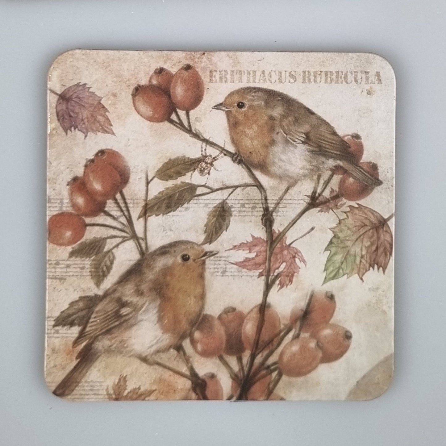 Coaster 38-019 - Bird Series 3
