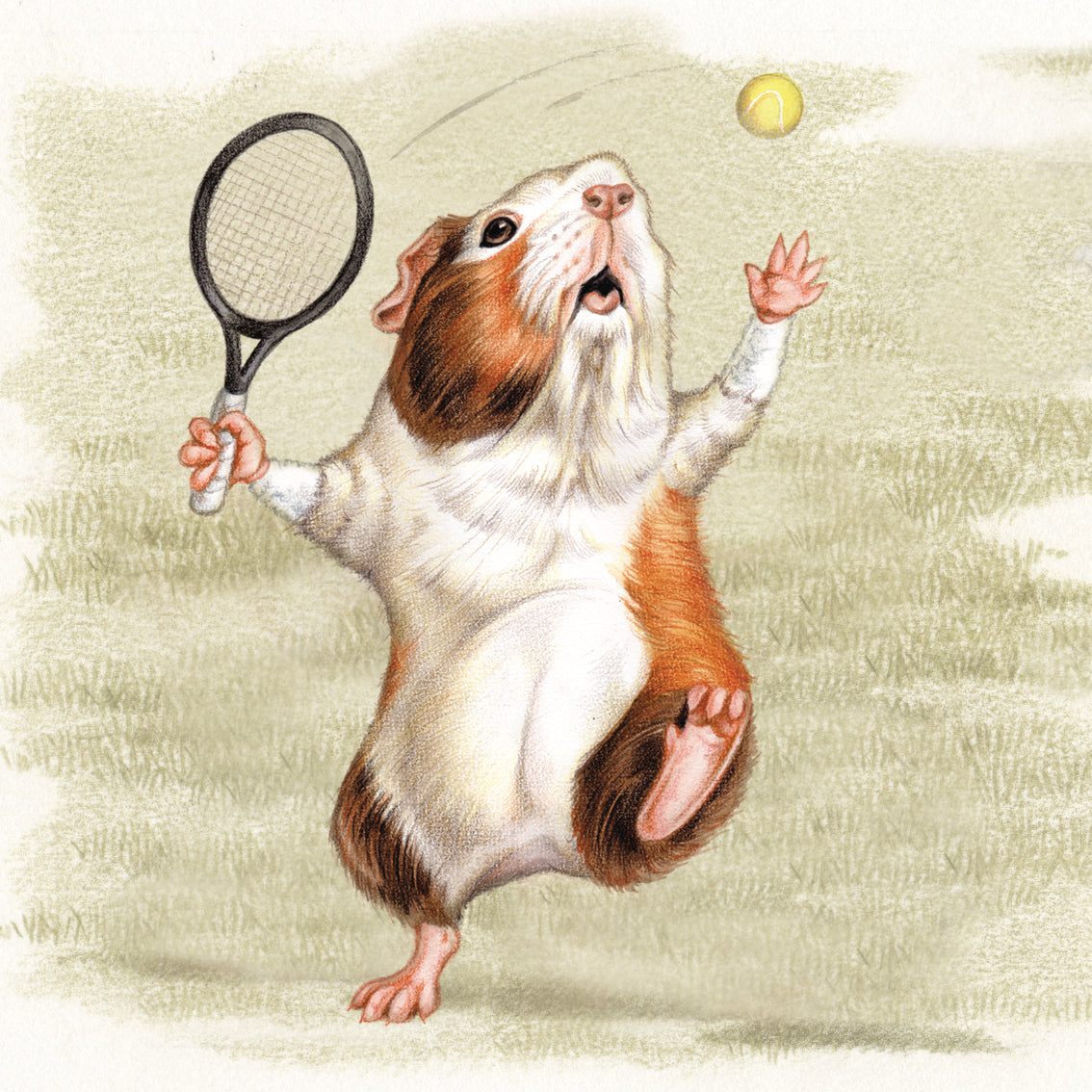 Onderzetter - 38-102  Cavia Tennis
