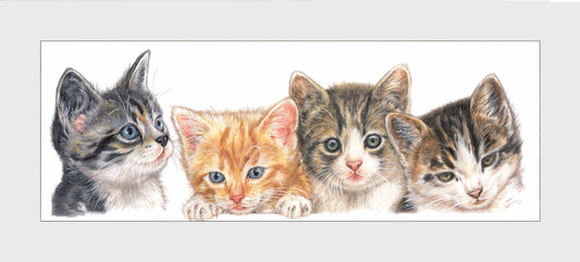 Reproduktion "Katzen-Collage".