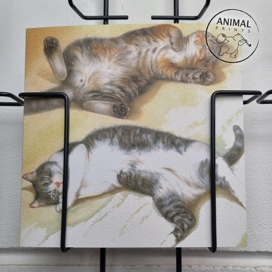 Vierkante kaart - Lekker even luieren, niets om je voor te schamen. (katten print)