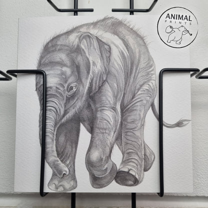 Quadratische Karte - Elefant; „Dann komme ich zu dir“!