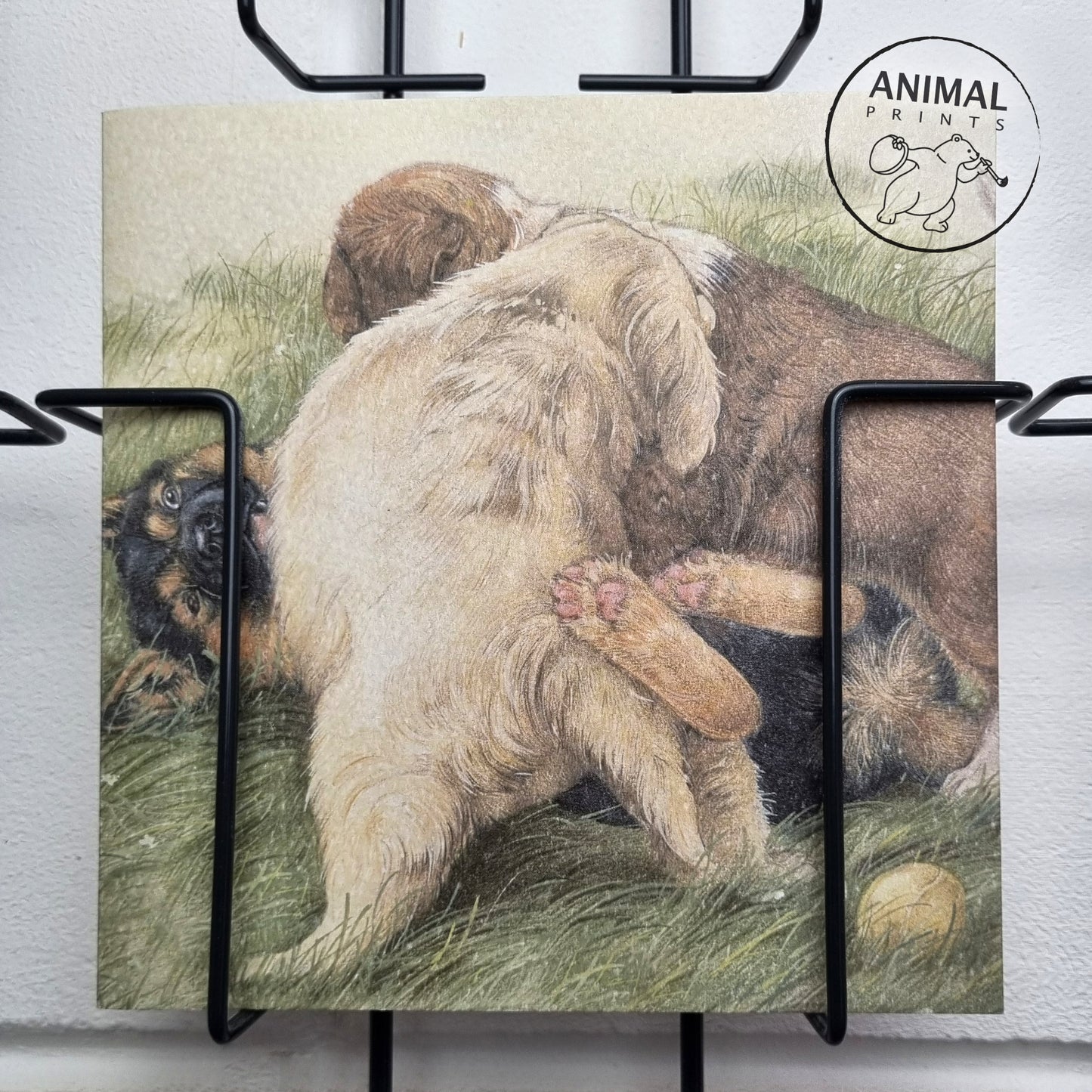 Vierkante kaart - Tijd voor een lekker partijtje stoeien. Maakt niet uit hoe vuil ik word. (honden print)