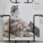 Vierkante kaart - Nooit eens een rustig plekje meer in huis sinds die 2 zijn gearriveerd!! (hond en katten)
