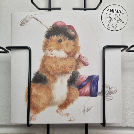 Square card - Golfing Guinea Pig. What hobby do you have? Will you hit a ball with me?