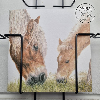Square card - The Haflingers should not be missing either,