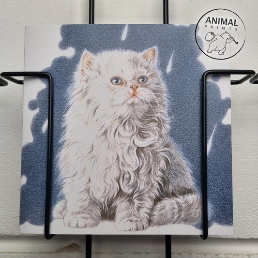 Quadratische Karte - It's Raining Cat's - Perserkatze