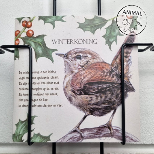 Vierkante kaart - Winterkoning (Vogel print)