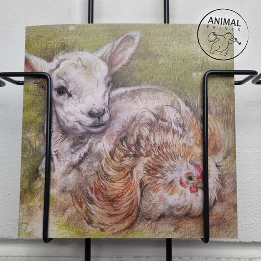 Vierkante kaart - Zo was het ooit bedoeld. (Schaap, Kip)