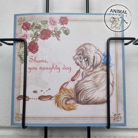 Vierkante kaart - Shame, you naughty Dog (hond, Maltezer)