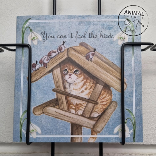 Vierkante kaart - You can't fool the birds (katten print)