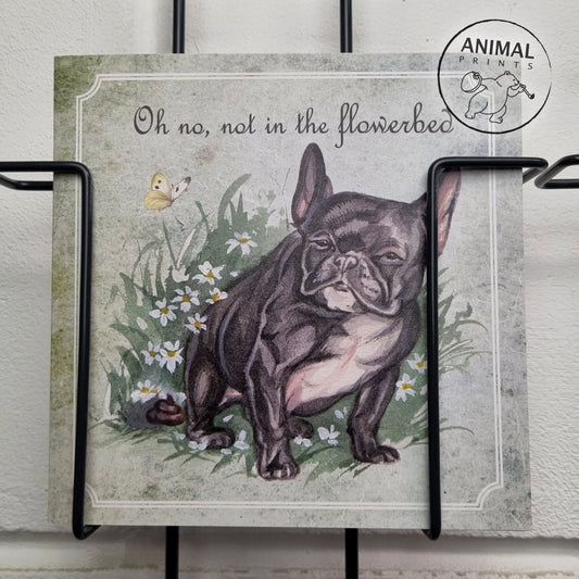 Vierkante kaart - Oh no, not in the flowerbed (Hond, Franse Bulldog)