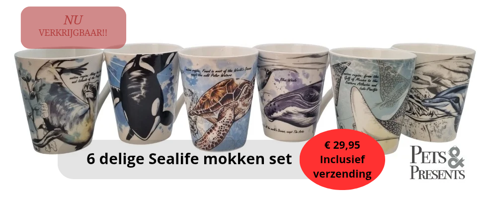 Sealife mug series