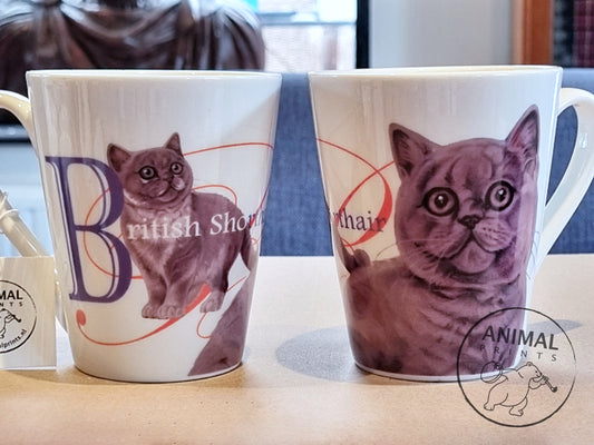 Tasse Britisch Kurzhaar - Britisch Kurzhaar