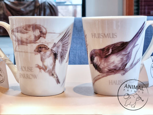 Tasse Haussperling - Haussperling
