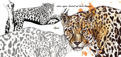 Mokkenserie Wildlife - Jaguar