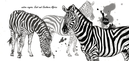Mokkenserie Wildlife - Zebra