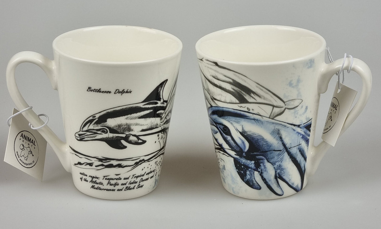 Sealife mug series